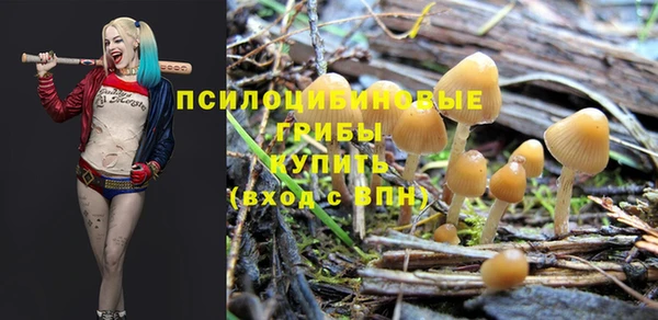 первитин Абинск