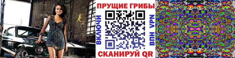 продажа наркотиков  Братск  Галлюциногенные грибы GOLDEN TEACHER 